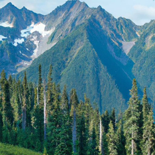 Day Trip To Olympic National Park: A Pacific Northwest Nature Escape