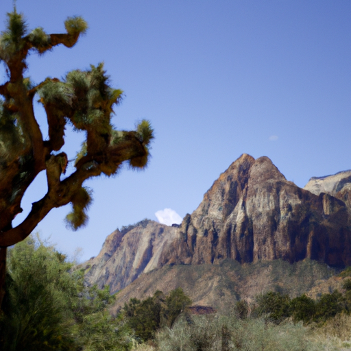 Las Vegas To Zion National Park Day Trip: Desert Adventure And Stunning Landscapes